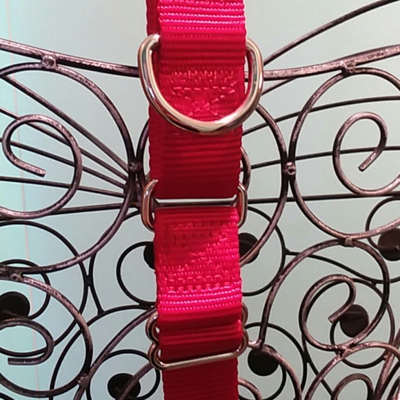 Large Pet Collar - Picture 4 of 7